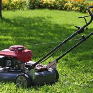 Best Lawn Mower Under $350