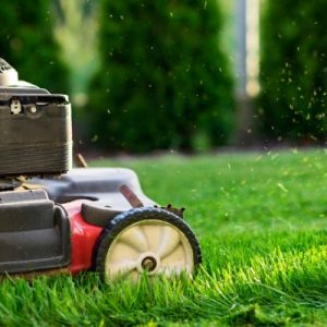 How Often Should You Mow Your Lawn In The Summer?