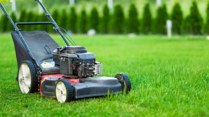 What Is A Self Propelled Lawn Mower?