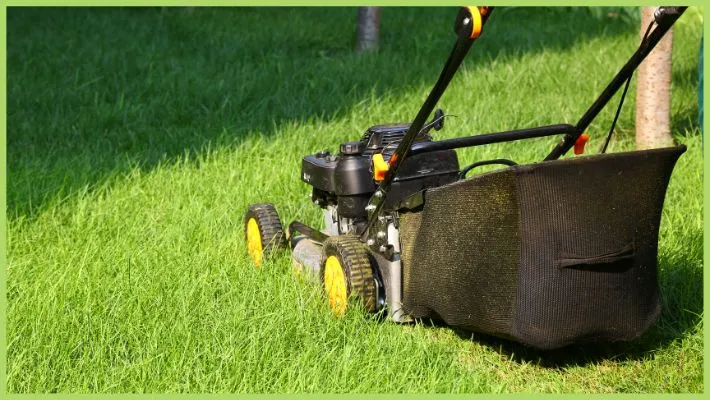 Best Gas Lawn Mower Under $500