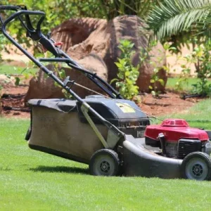 Best Lawn Mower For Big Yard
