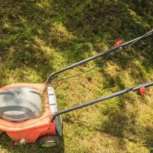 Best Lawn Mower For Small Garden