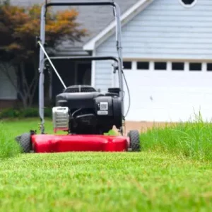 Best Lawn Mower For Stripes